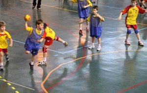 Copie de IMG_2517.JPG